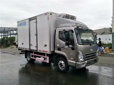 潮州地區小霸王冷藏車價格解析與購買指南